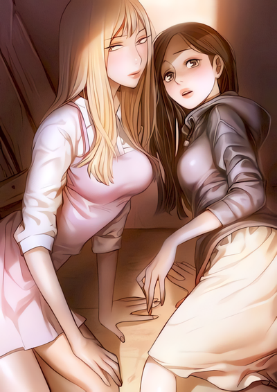 Capa de The Two Newcomers