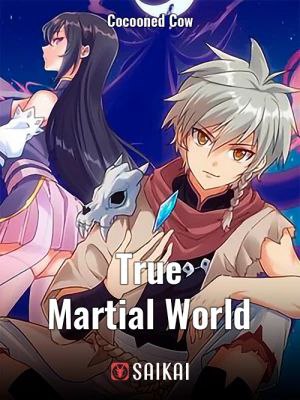 Capa de True Martial World