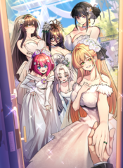 Rented-Room-Brides-Copia